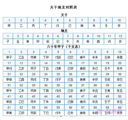 1995 天干地支|天干地支对照表